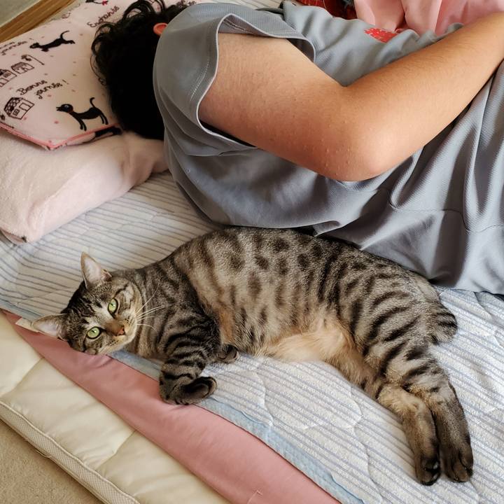 97abe77d 2bc8 42fa 8bb3 a2f8781ade47 1696338242231