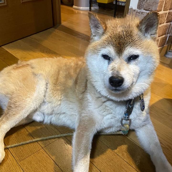 97abfd74 20bf 4aad a856 138887ca8688 1719131598415