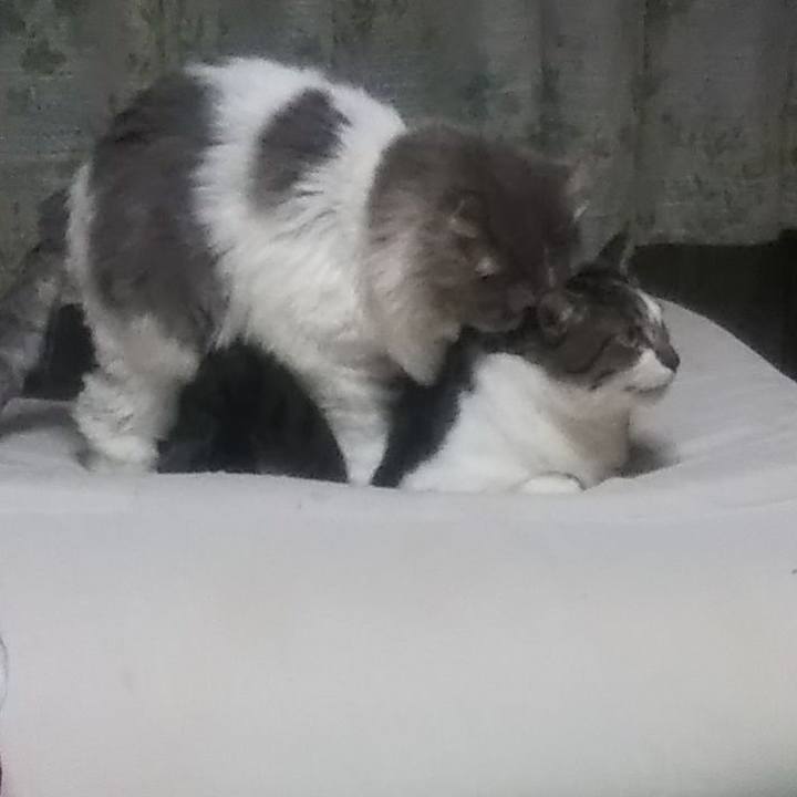 97ac3341 04ba 4fb3 a89e 4e6fdb5daee7 1638436077284