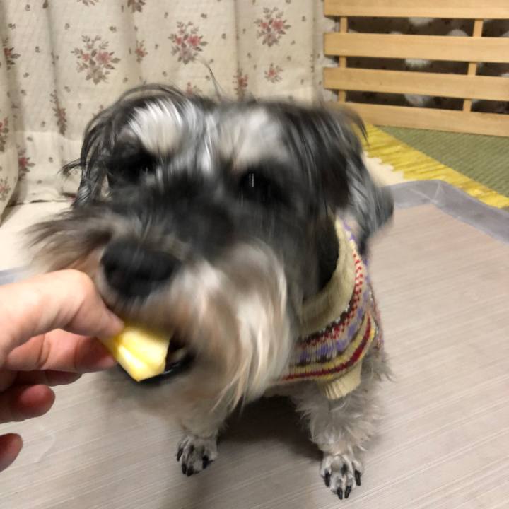 97ac514b bd23 45d8 b809 5c281c144f11 1614449534253