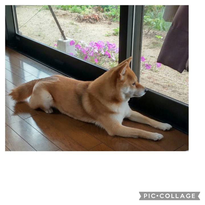 97ac7b3c ffde 4336 adf5 526f36d19536 1681275868727