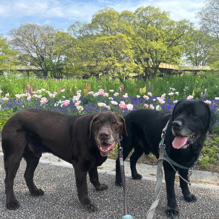 97ac9391 39ba 4d96 872d bce6bc974367 1776598826139