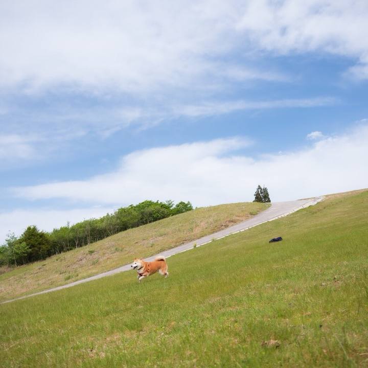 97acbe63 986b 44d7 824c 175854ea3e41 1559441012752