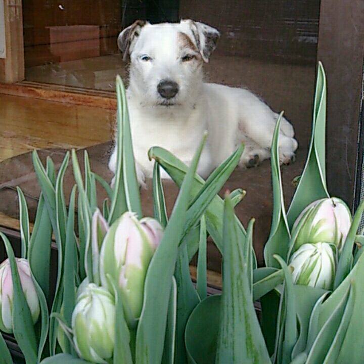 97acc00e ae80 48da a00f 48f2b9c6e688 1518046870191