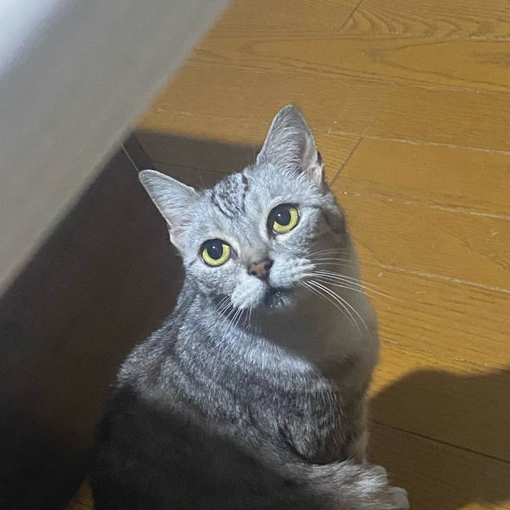 97ad39b5 6d98 4a23 8a01 cc3ce3f96a64 1718117136771