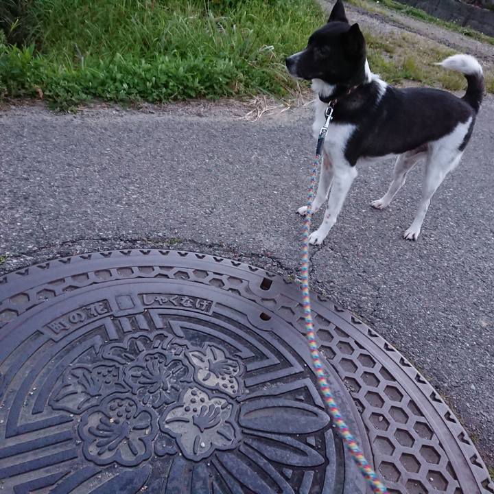 97ad47c1 a6db 40af 8f85 6d1b79a10a89 1527332259696