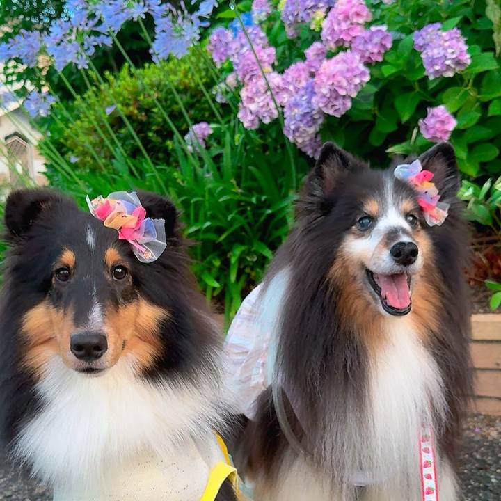 97ad5845 fe9c 4221 90df bbbcd361994c 1751118320756