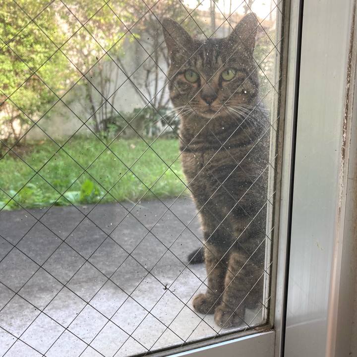 97ada18d 9c01 4509 9bd7 e8f3a72f6086 1638576613616