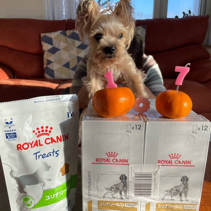 97adca9f 1c47 4036 9dc7 ee0778357145 1673514333631