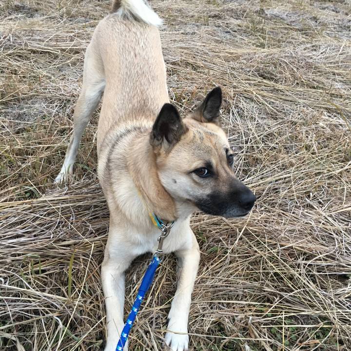 97ade930 166a 489a 979a 5a3bbd86fb4e 1513603574579