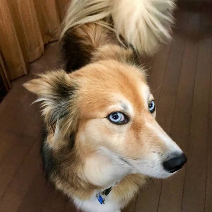 97adeee4 e37f 4374 824a b05cae11efab 1547703771199