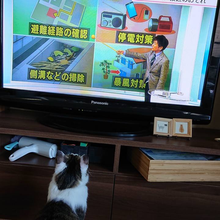 97ae0083 7f0e 4c33 9b79 06dd3e7c6857 1570582964975