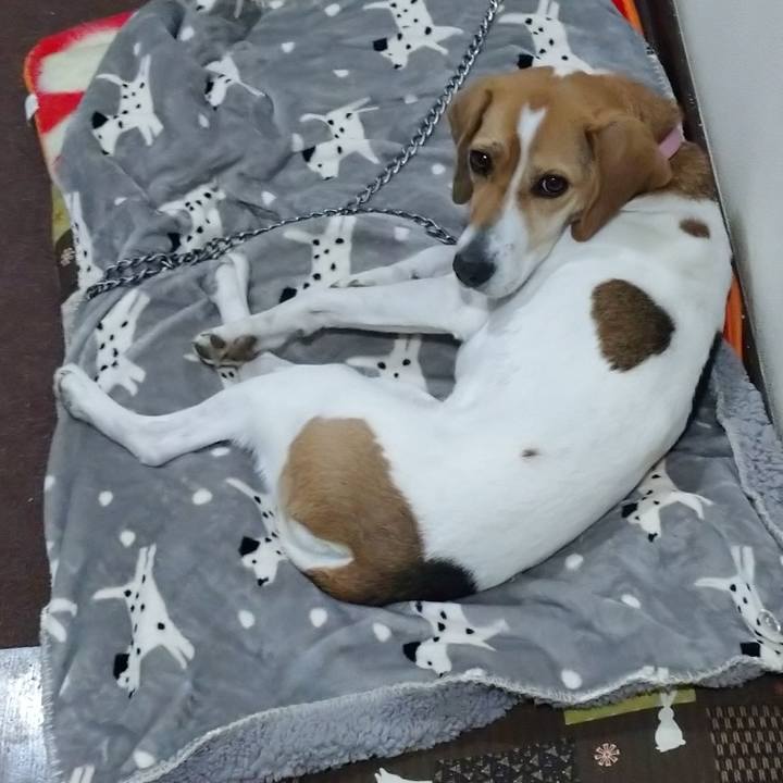 97ae0abd 01dd 49be 8dd8 6a560a36a1bb 1580645817766