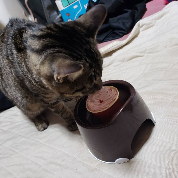 97ae2802 ad0f 47e9 8a96 7e3eb1edb099 1545646787243