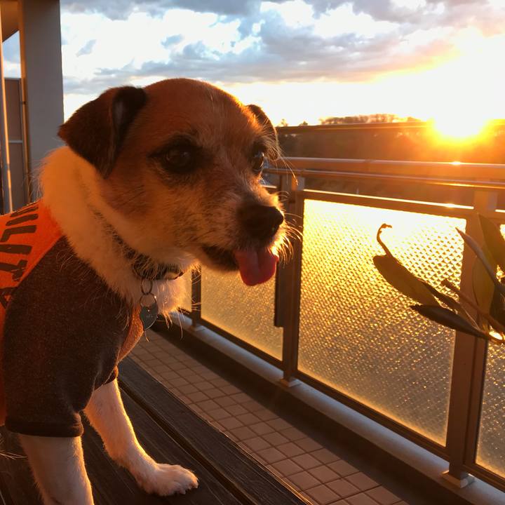 97ae29d0 6735 4ebc 8050 0488d8c1ec4a 1544652177803