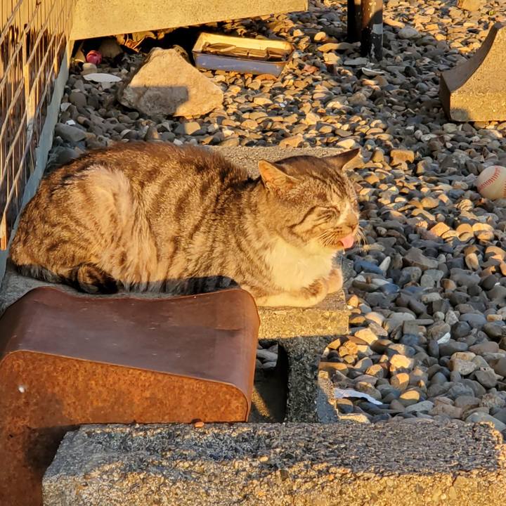 97ae3f40 d51a 4abf 8fee f0ce7da7a7a7 1698563571416