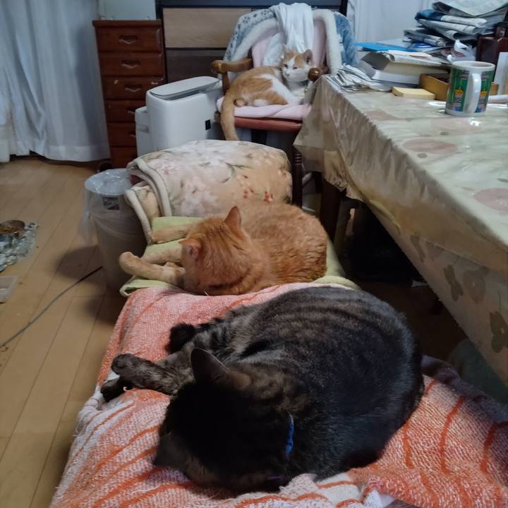 97ae4c9f 6276 4580 9560 725758f51394 1735367265210