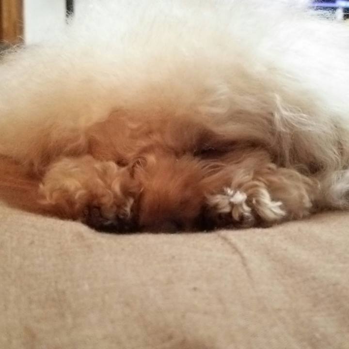 97ae60e6 b910 4f61 85c9 77941c9e0ea0 1515645857197