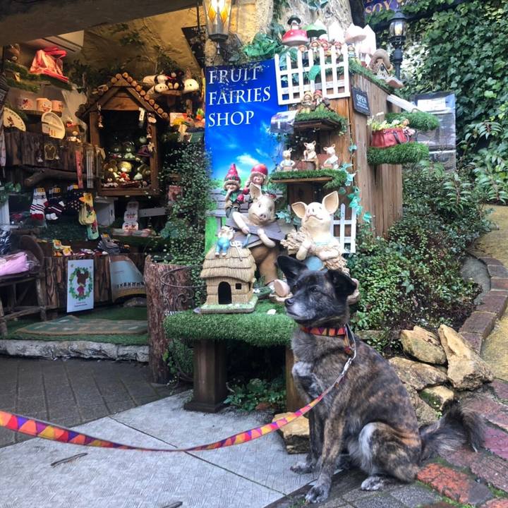 97ae7d38 80ae 4183 b056 858ae0fcb899 1550824354273