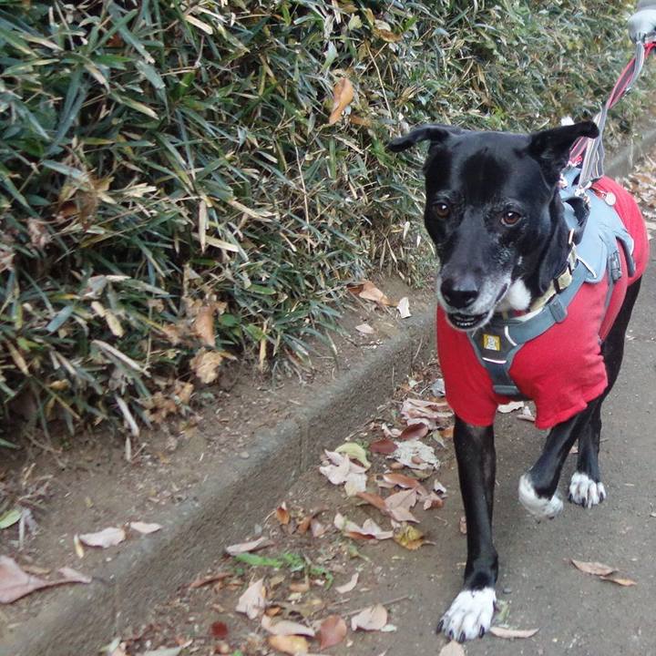 97aeb0e0 d70e 4979 bf19 be0fffc45798 1734482383399