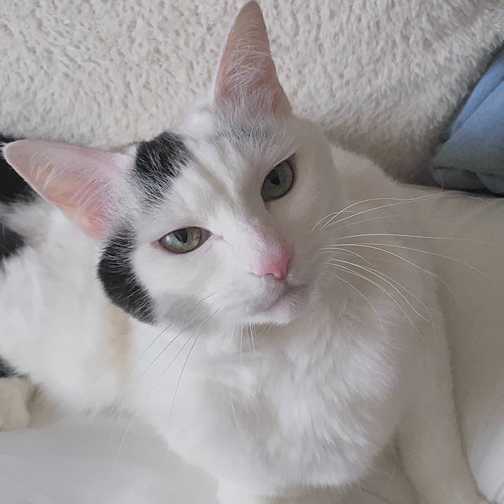 97aeca5e 9264 4d3a a75b 76fb59ee975f 1588144793491