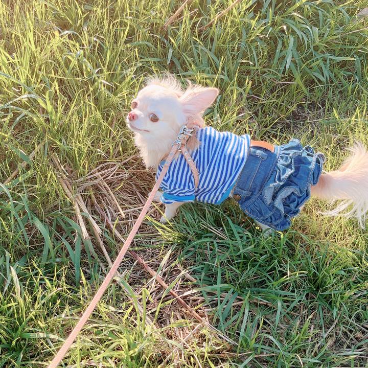 97aecd40 c3e2 4330 a48e 64cac7f04e0b 1668578134712