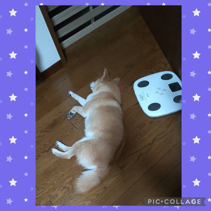 97af6d69 ae82 4d3e a977 329d164bc2de 1719926044785