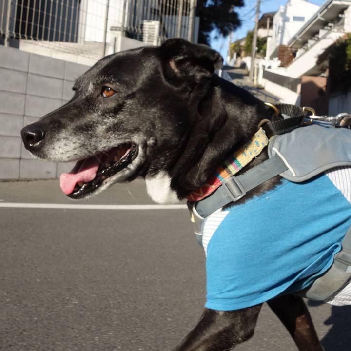 97af771d 7b9a 426e b2eb d8630d925022 1740790132869