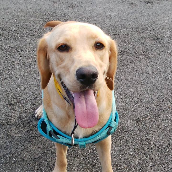 97af81ce 52ff 4b76 9a04 d9b6362a5122 1511816791457