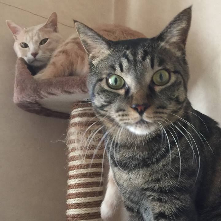 97af8ce9 f335 4130 af1f 1ac5e31fbd45 1513139256596