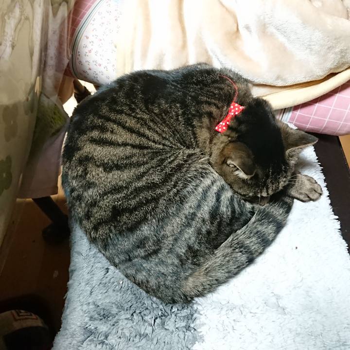 97afb0b4 b2b8 46f9 a5e8 02979dcf8c9c 1641904704661