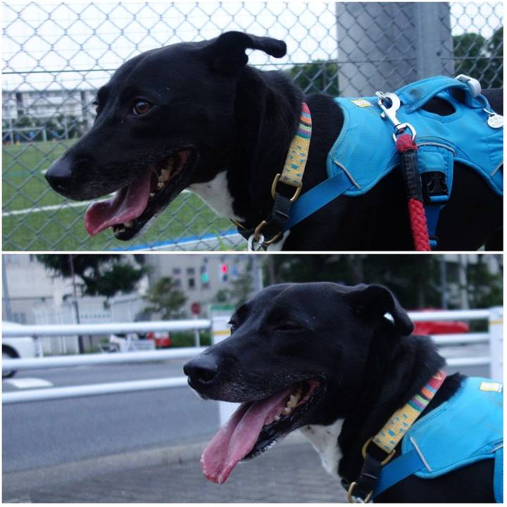 97afb295 3f36 4a73 880a 4a684fa57b97 1626087212323