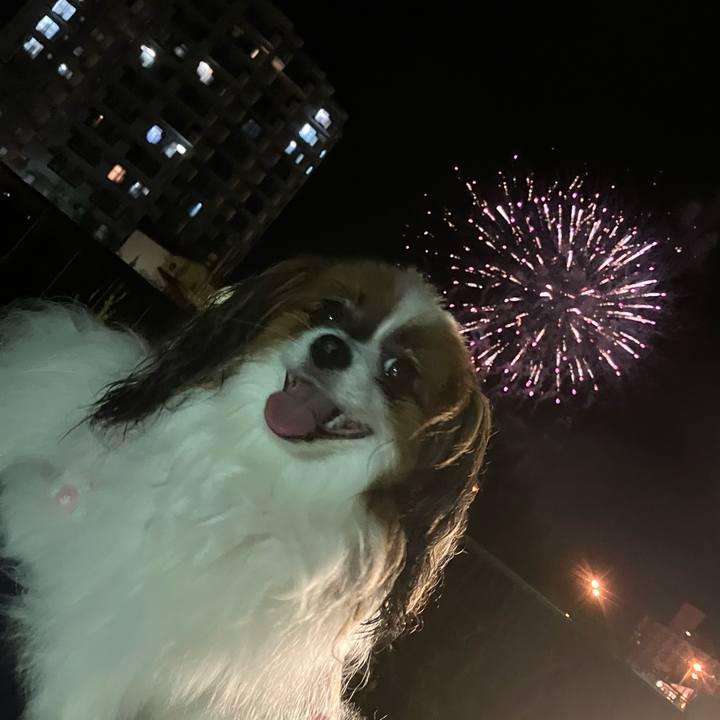 97afb714 76bb 492a 80d0 5e057b289be7 1692498811875