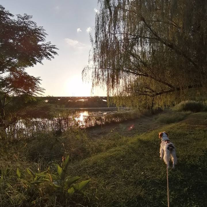 97afd86a e249 47b5 ab6c 02953c27ec5a 1633175187091