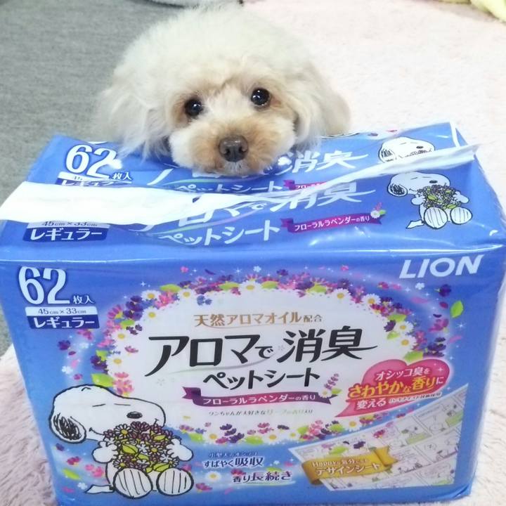 97b02870 be6a 4323 a043 f4e32dad576d 1548417528637