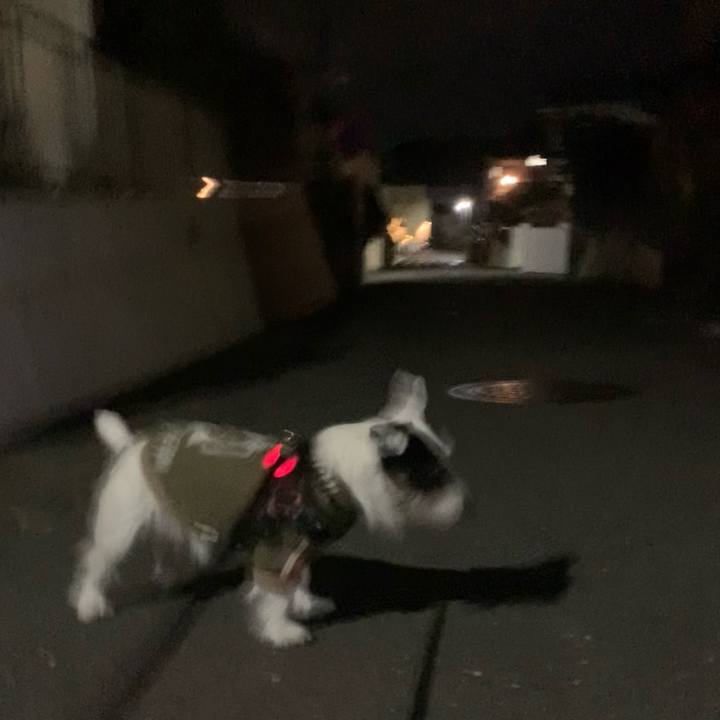 97b048bb ff19 419b bf09 b250143936f8 1702038215145