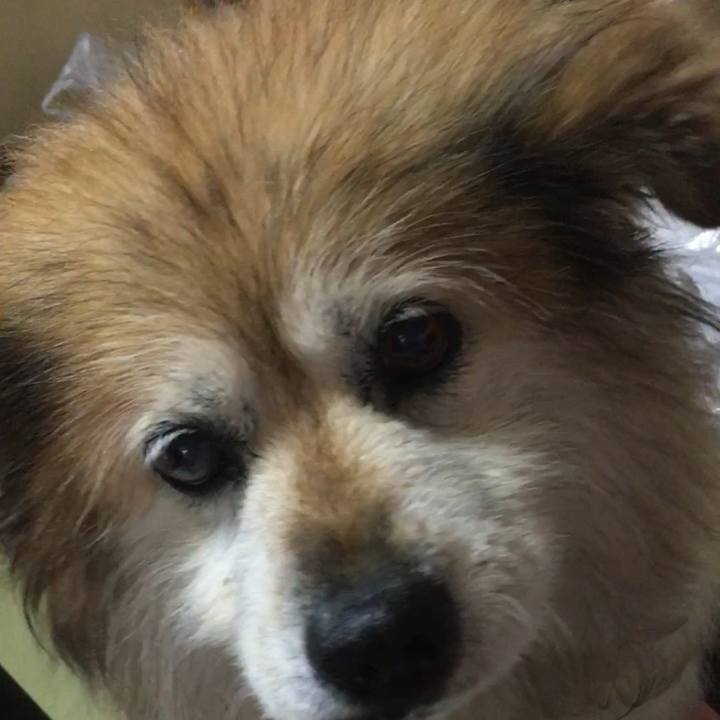 97b0bae7 b3c4 4d78 913a beda1e020884 1615526848041