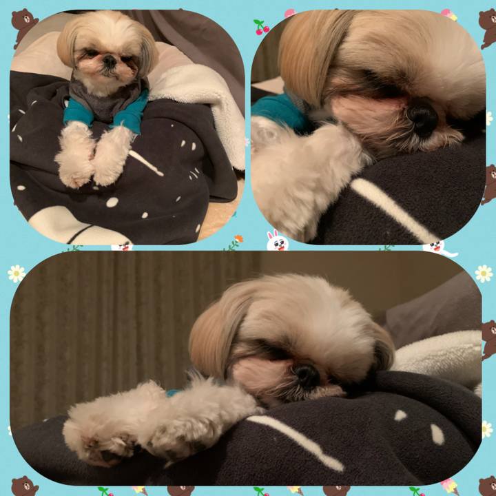 97b0f5ca 069b 480d b3a3 8bcec32a708f 1644592888048