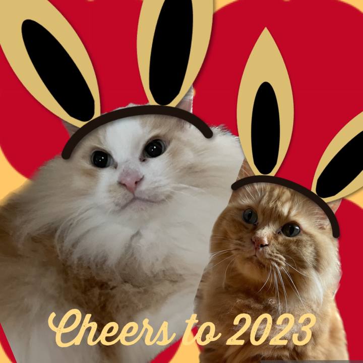 97b17f7e 83a5 46e7 819c 1222e6b072a5 1672500414509