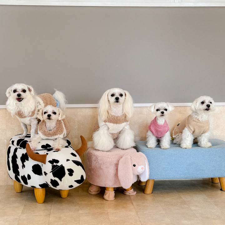 97b1b835 1393 4a0e 8f89 d04b25a1fca2 1710827794725