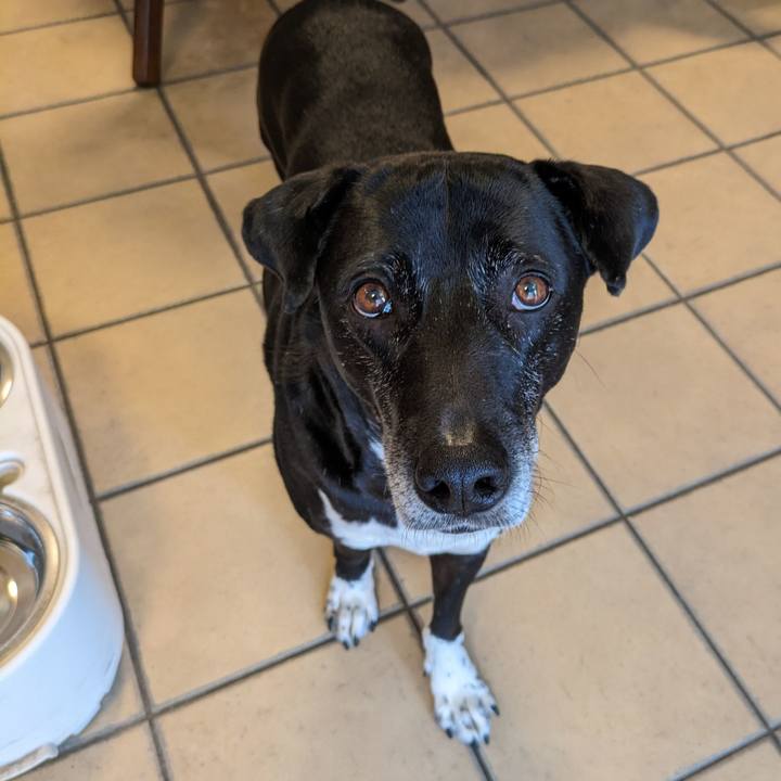 97b1ff5c 307e 4a04 b86d 9ae67aa4feeb 1710637718508