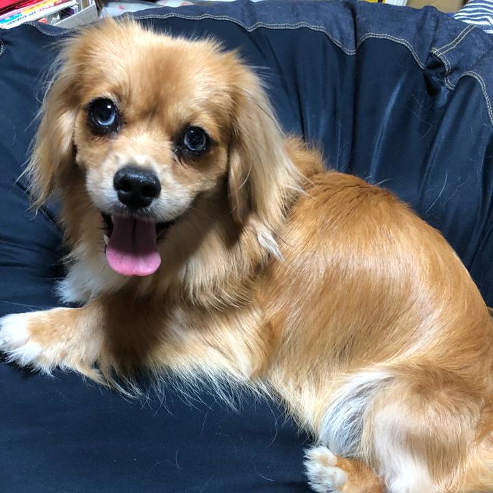 97b20fef c9d9 4f1e b0ca 64e9ad0dc7da 1531690806610