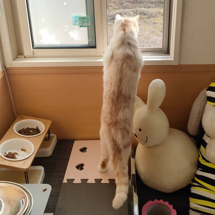 97b23c63 61b9 4ae8 8493 b8a100b84079 1678576761050