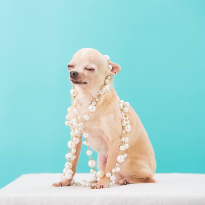 97b246e7 554b 4d5c 9c82 8fdc8d6ac5e3 1525083750517