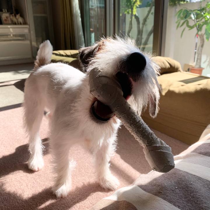 97b24a7c f4c6 4c50 af2c b95a8877b5c4 1573189846102