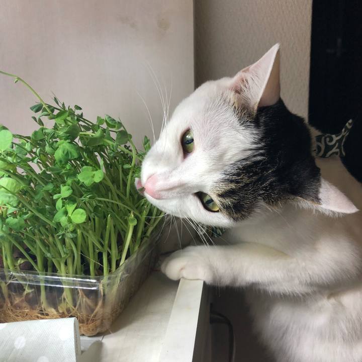 97b25d9d 13ca 4fce bae8 2dd3841d541d 1538145709042