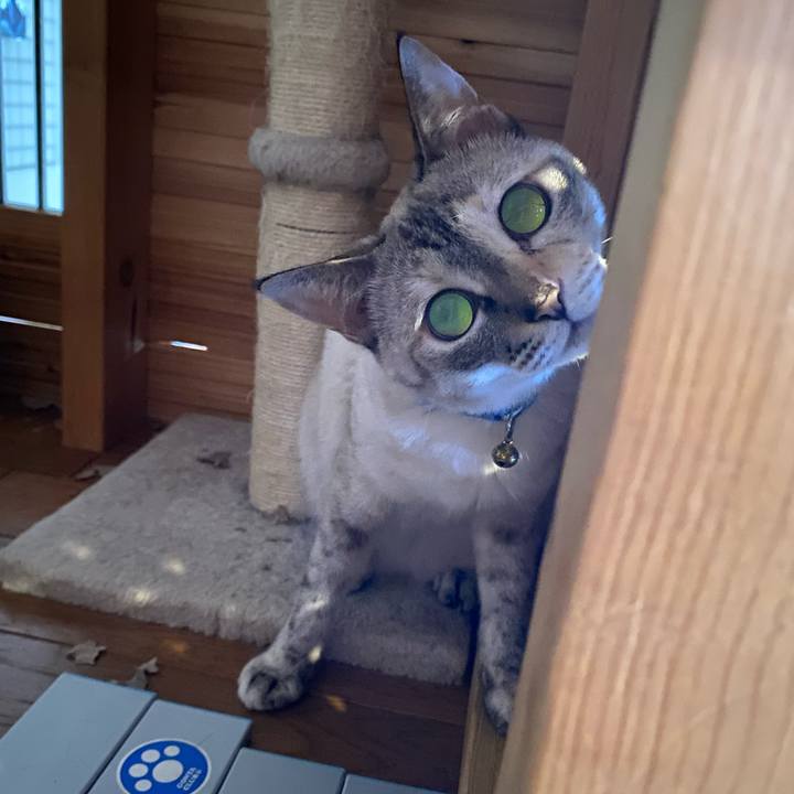 97b2df3b f117 487c bb39 e4a130a55d49 1721950454284