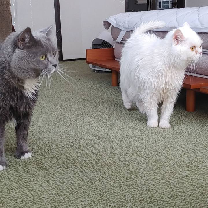 97b32939 91f9 4a7e 9a20 7de90a97bab6 1714269790297