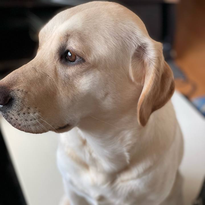 97b350f3 7541 4e36 99e4 b8ca74746ece 1648776750292