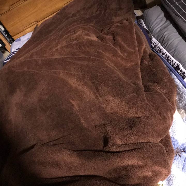 97b35b79 6bf0 4639 8220 e8e770b10ea3 1519315908062